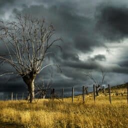 Cold, windy, stormy day