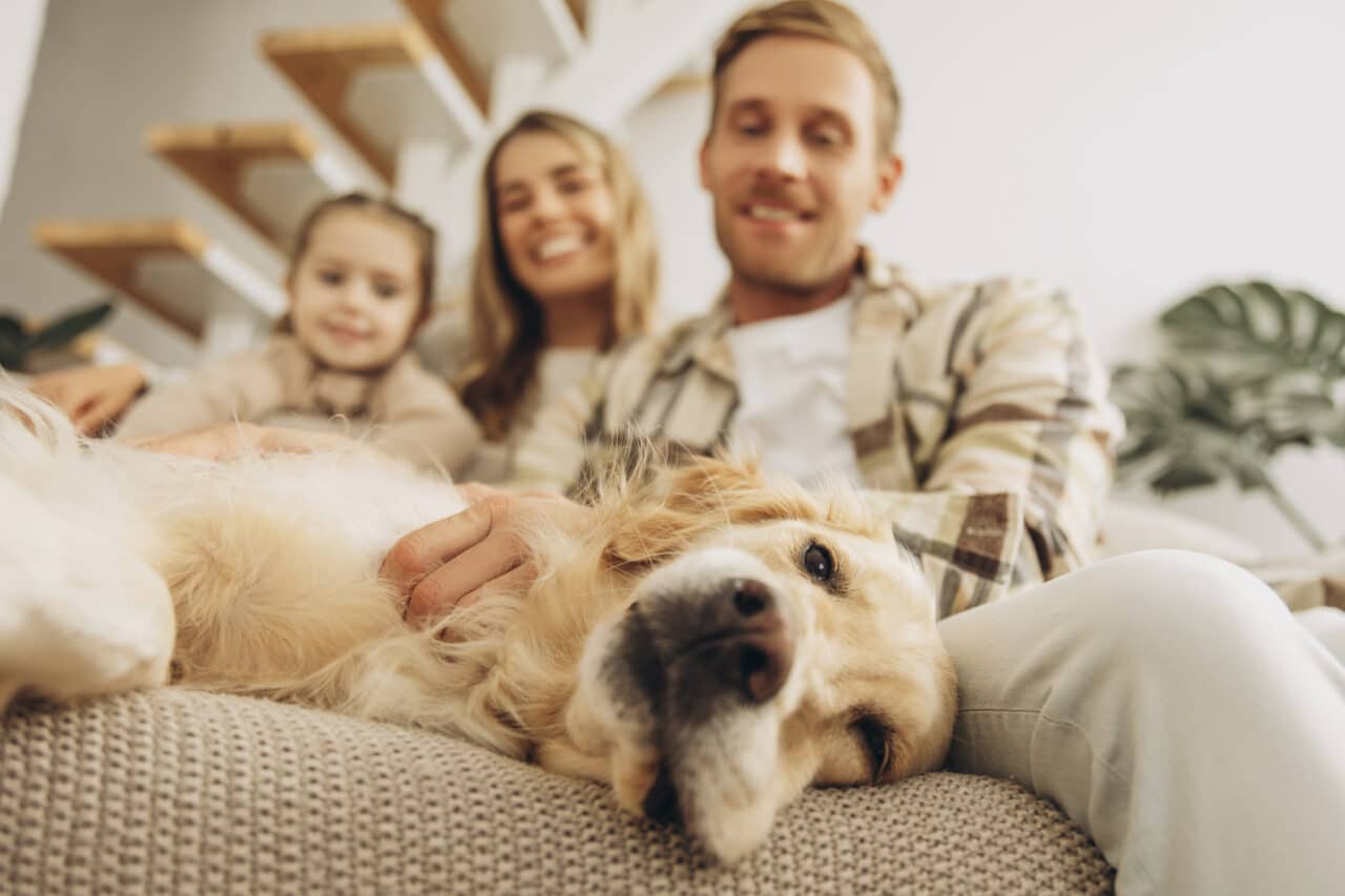 Happy family at home petting their dog on the couch