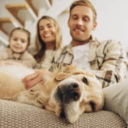 Happy family at home petting their dog on the couch